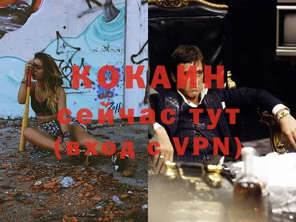 mdpv Богданович