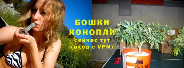 mdpv Богданович