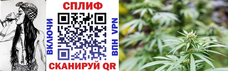 Конопля MAZAR  купить   Мурманск 